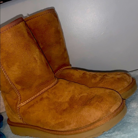 UGG Shoes - Tan Ugg Boots